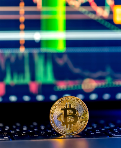 Información de Trading de Logic Maxalt Fin